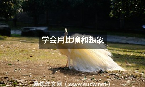學會用比喻和想象