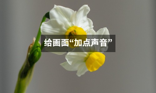 給畫面“加點(diǎn)聲音”