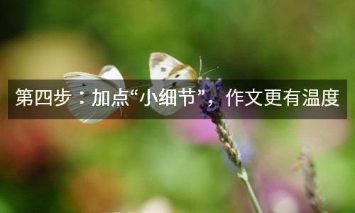 第四步：加點“小細節(jié)”，作文更有溫度