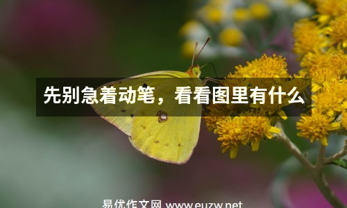 先別急著動筆，看看圖里有什么
