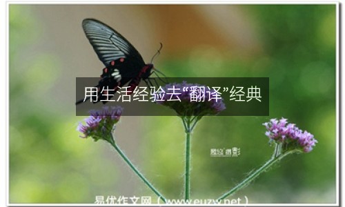 用生活經(jīng)驗去“翻譯”經(jīng)典