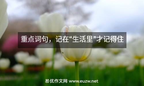 重點(diǎn)詞句，記在“生活里”才記得住