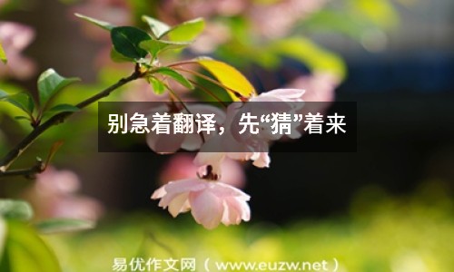 別急著翻譯，先“猜”著來(lái)