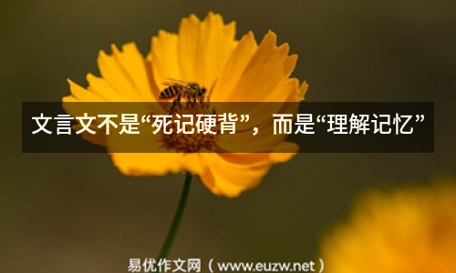文言文不是“死記硬背”，而是“理解記憶”
