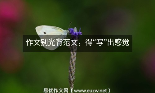 作文別光背范文，得“寫”出感覺