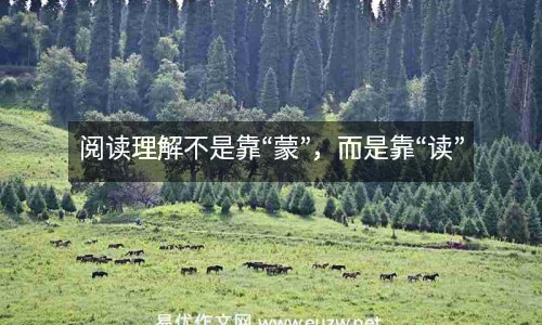閱讀理解不是靠“蒙”，而是靠“讀”