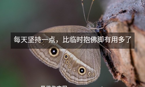 每天堅(jiān)持一點(diǎn)，比臨時(shí)抱佛腳有用多了
