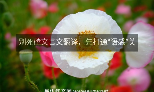 別死磕文言文翻譯，先打通“語(yǔ)感”關(guān)