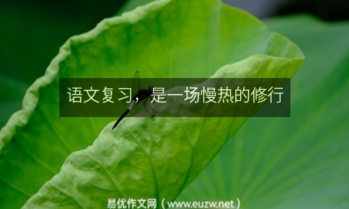 語(yǔ)文復(fù)習(xí)，是一場(chǎng)慢熱的修行