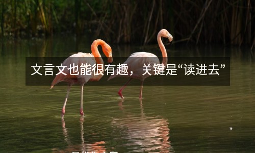 文言文也能很有趣，關鍵是“讀進去”