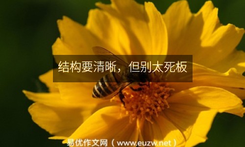 結(jié)構(gòu)要清晰，但別太死板