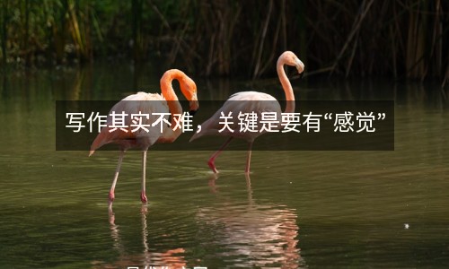 寫作其實(shí)不難，關(guān)鍵是要有“感覺”