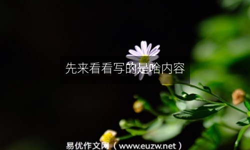 先來(lái)看看寫(xiě)的是啥內(nèi)容