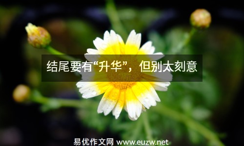 結(jié)尾要有“升華”，但別太刻意