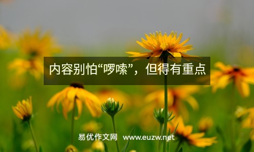 內(nèi)容別怕“啰嗦”，但得有重點