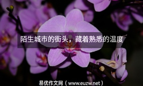 陌生城市的街頭，藏著熟悉的溫度