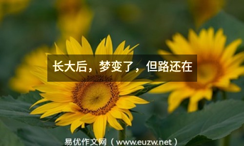 長(zhǎng)大后，夢(mèng)變了，但路還在