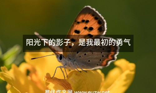 陽(yáng)光下的影子，是我最初的勇氣