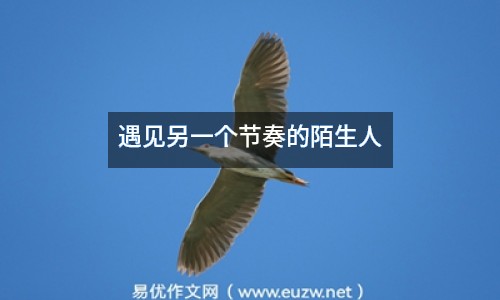 遇見另一個節(jié)奏的陌生人