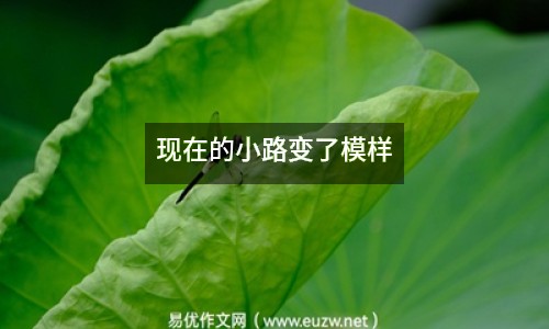 現(xiàn)在的小路變了模樣