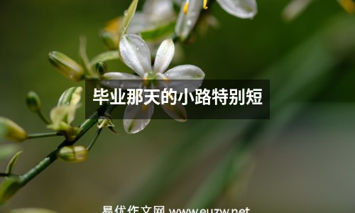 畢業(yè)那天的小路特別短