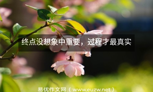 終點(diǎn)沒(méi)想象中重要，過(guò)程才最真實(shí)