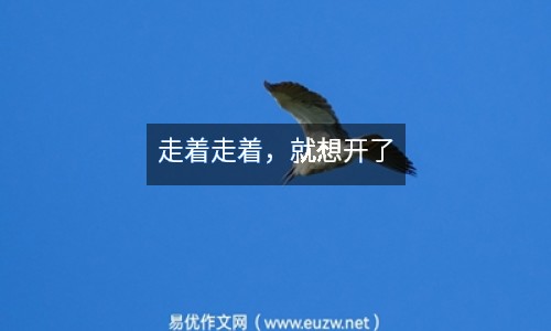 走著走著，就想開了