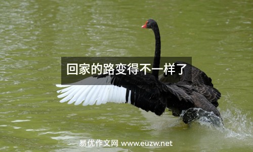 回家的路變得不一樣了