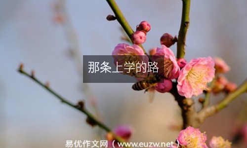 那條上學(xué)的路