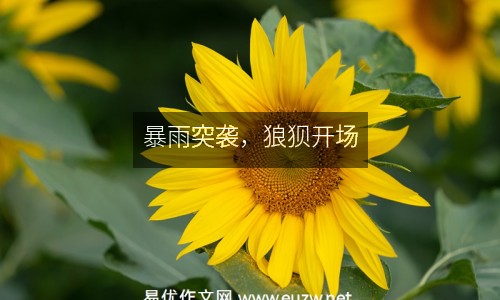 暴雨突襲，狼狽開(kāi)場(chǎng)