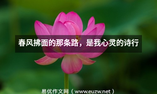 易優(yōu)作文網(wǎng)——春風(fēng)拂面的那條路,是我心靈的詩行