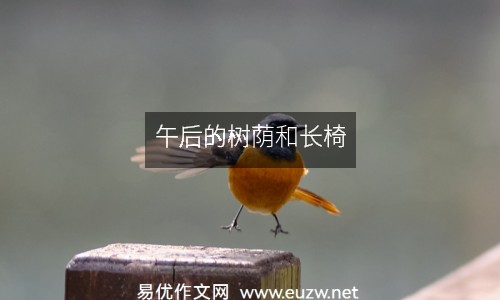 午后的樹蔭和長椅