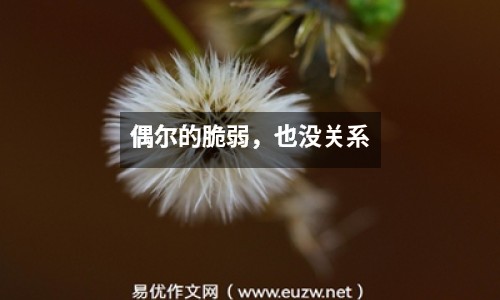 偶爾的脆弱，也沒關(guān)系