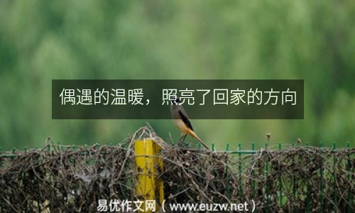 偶遇的溫暖，照亮了回家的方向