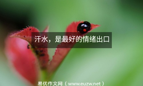 汗水，是最好的情緒出口