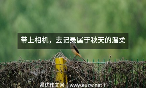 帶上相機，去記錄屬于秋天的溫柔