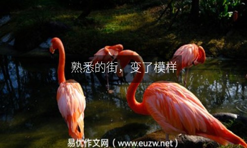 熟悉的街，變了模樣