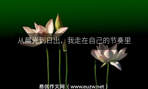 從晨光到日出，我走在自己的節(jié)奏里