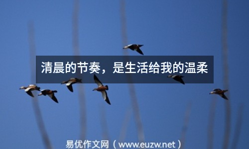 清晨的節(jié)奏，是生活給我的溫柔