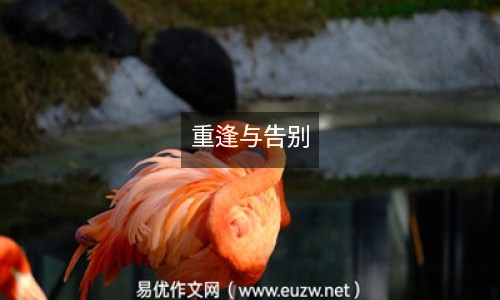 重逢與告別