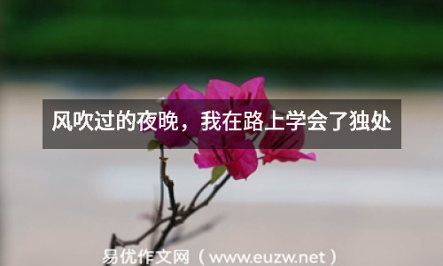 風吹過的夜晚，我在路上學會了獨處