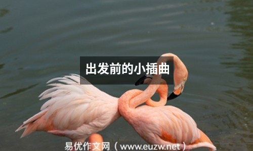 出發(fā)前的小插曲