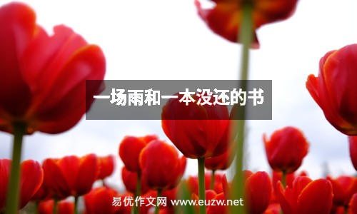 一場雨和一本沒還的書