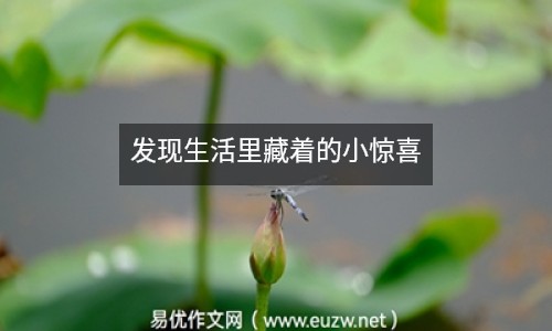 發(fā)現(xiàn)生活里藏著的小驚喜