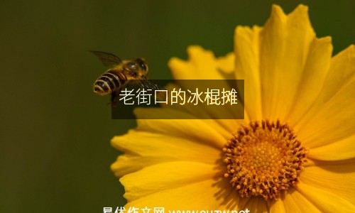 老街口的冰棍攤