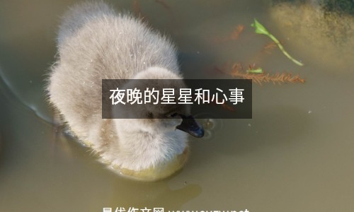 夜晚的星星和心事
