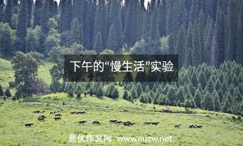 下午的“慢生活”實驗