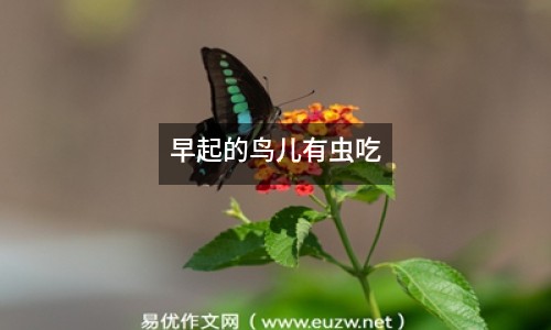 早起的鳥兒有蟲吃