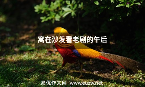 窩在沙發(fā)看老劇的午后