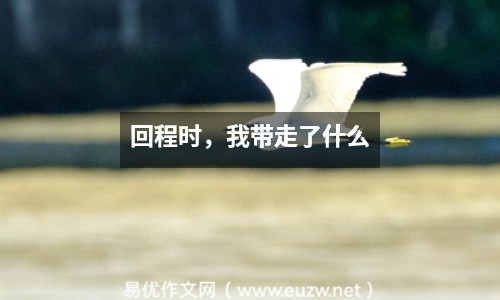 回程時，我?guī)ё吡耸裁?/></p><h2>回程時，我?guī)ё吡耸裁?/h2><p>旅程結(jié)束那天，我坐在回程的大巴上，看著窗外的山漸漸遠去，心里竟然有點不舍。我?guī)Щ貋淼牟恢皇钦掌图o念品，還有那種說不清道不明的變化。我開始愿意早起，開始喜歡走路，也開始學(xué)著和生活和解。那次旅行沒有改變我的人生軌跡，但它像一顆小石子，輕輕撥動了我心里那根弦。</p><p>有時候，成長不需要驚天動地，它可能就藏在一次摔倒里，藏在一句陌生人的問候中，藏在某個你看星星的夜晚。那年夏天，我走得滿身是汗，卻也走得輕盈自在。</p>
 </div>



   <div   id=